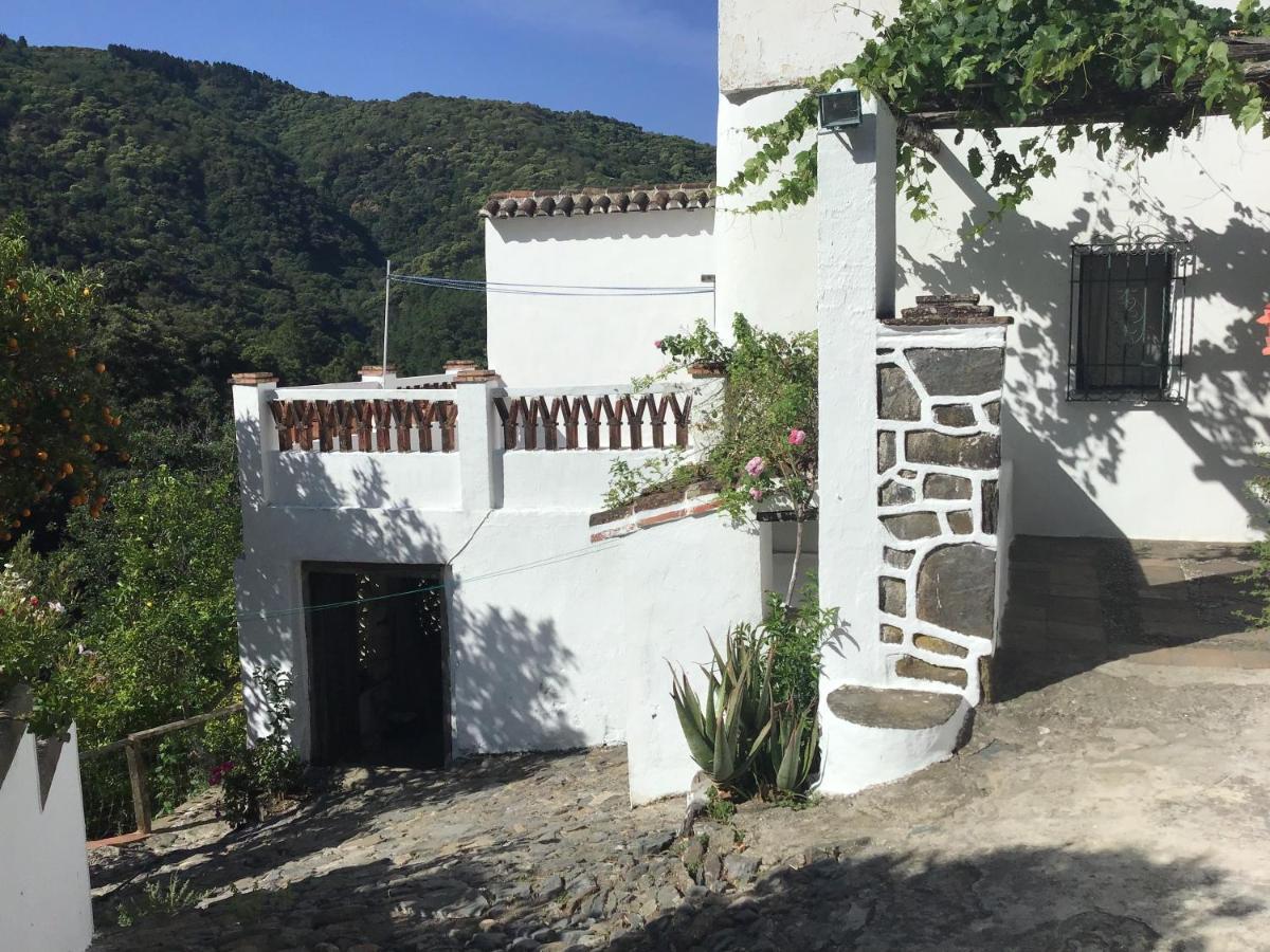 Finca Riolavar Jubrique Luaran gambar